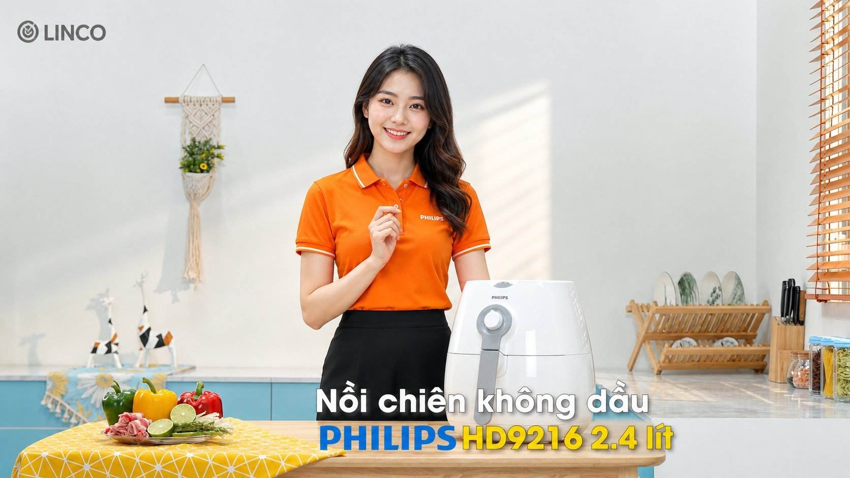 lò nướng không dầu philips hd9216 giá rẻ