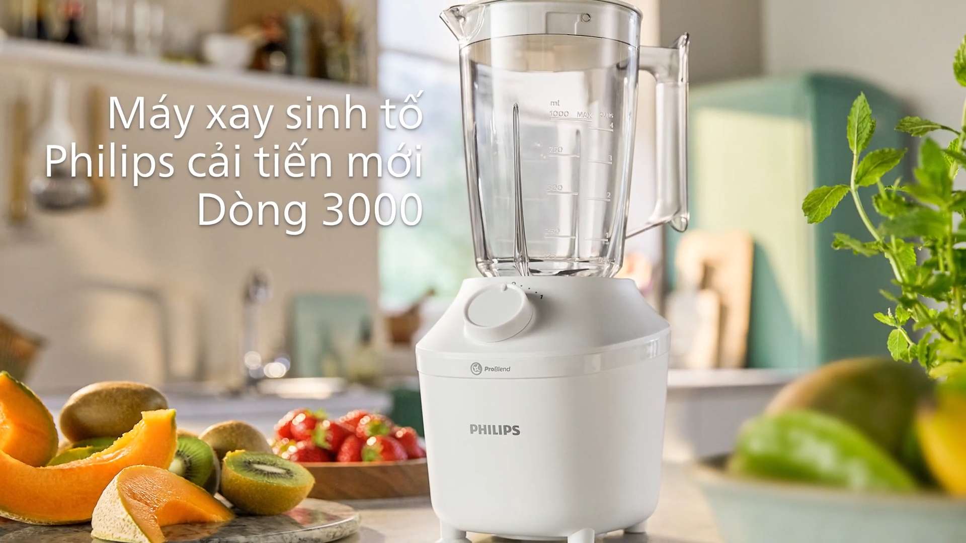 đại lý phân phối mua máy xay sinh tố philips hr2041/30