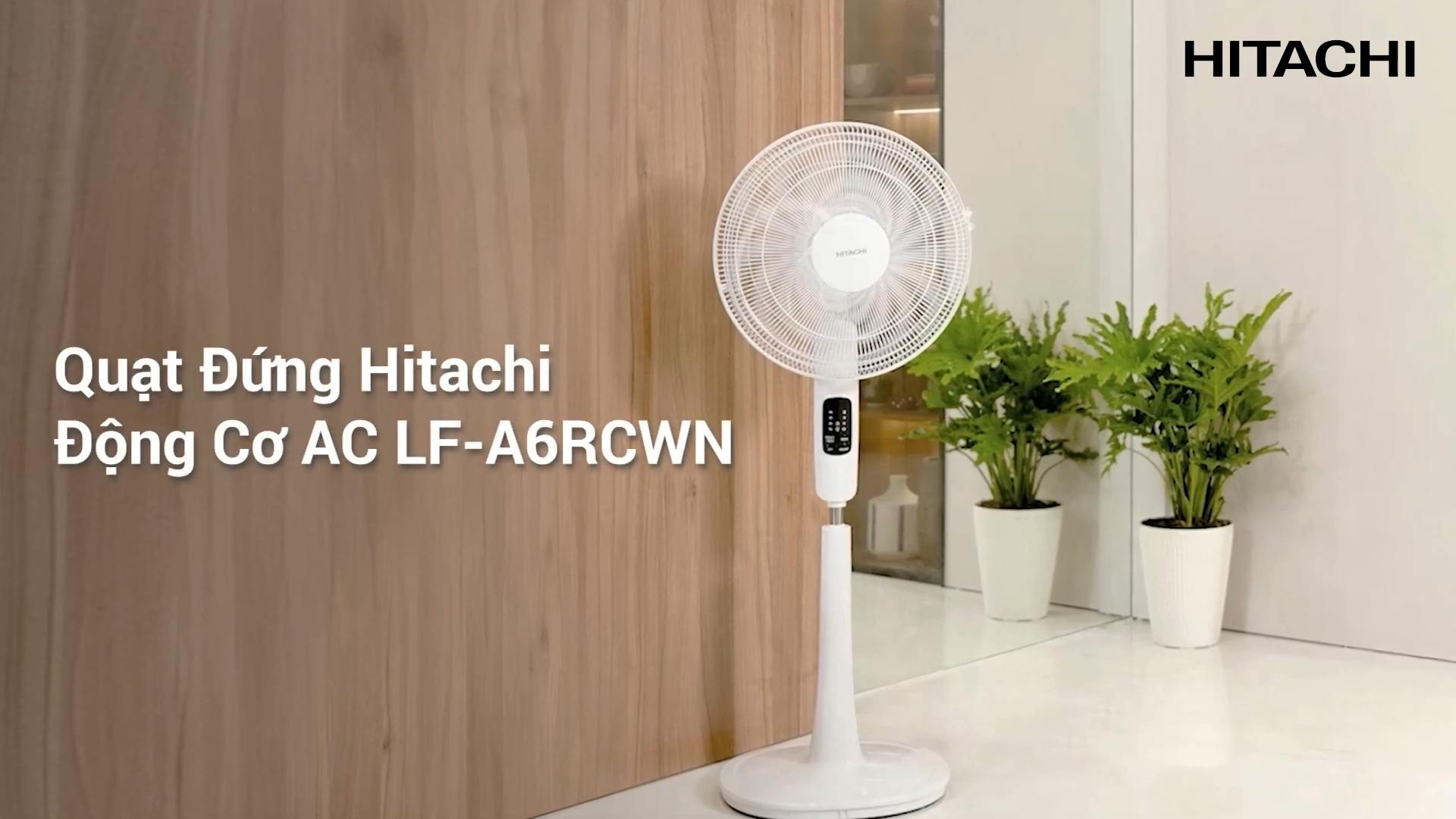 quạt đứng hitachi lf-d6rcwm chính hãng