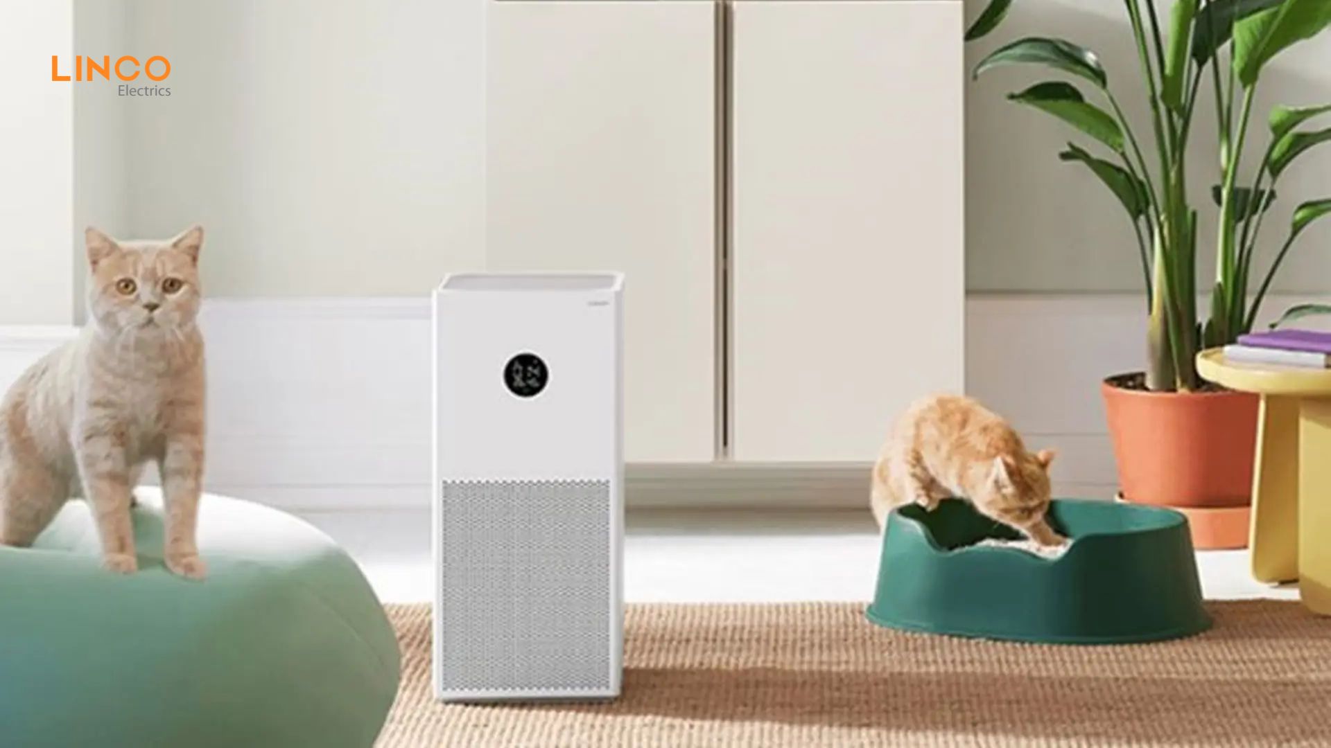 Top 6 máy lọc không khí cho phòng ngủ tốt nhất